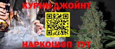 сатива Гусев