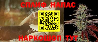 сатива Гусев