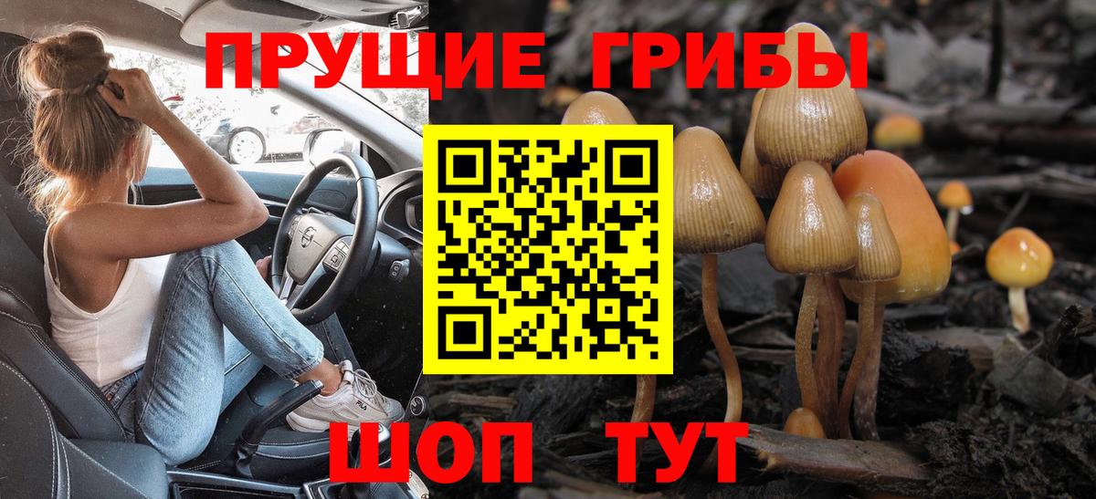 Псилоцибиновые грибы Magic Shrooms Михайловка