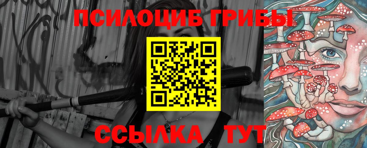 Галлюциногенные грибы MAGIC MUSHROOMS  Вход с VPN  хочу наркоту  Михайловка 